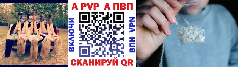 A-PVP СК Ярославль