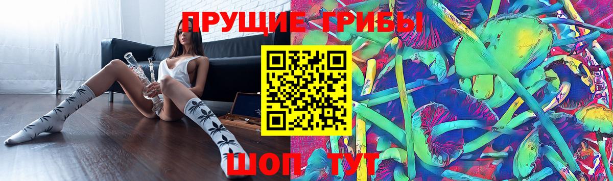 Галлюциногенные грибы мухоморы Ярославль