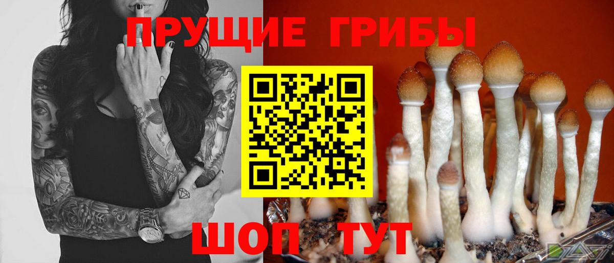наркотики  Галлюциногенные грибы Magic Shrooms  Вход с VPN  Ярославль  Псилоцибиновые грибы Cubensis 